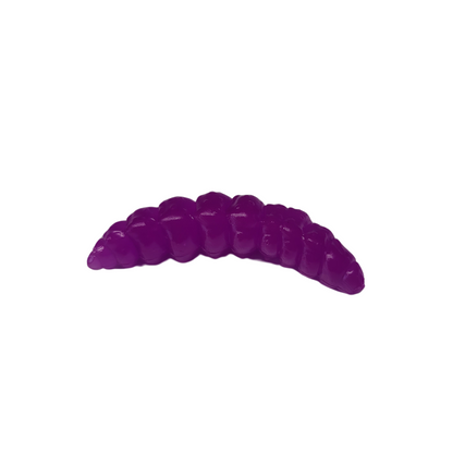 Raupi